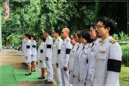 batch IMG 6031